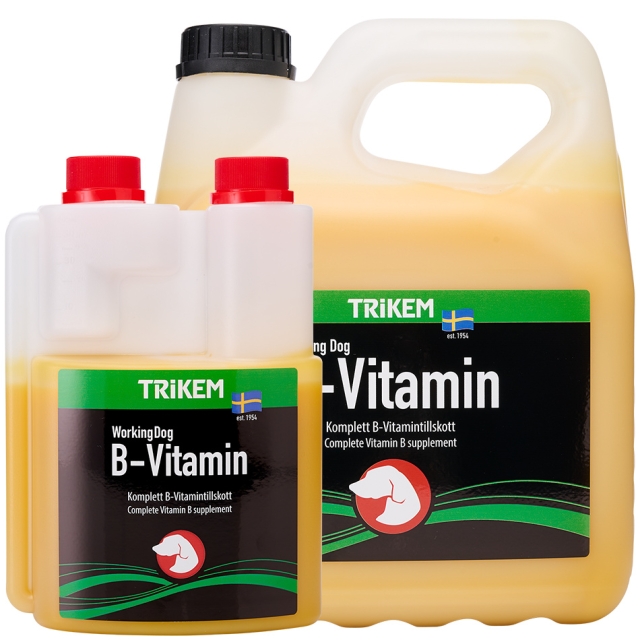 WorkingDog B-Vitamin 500 ml