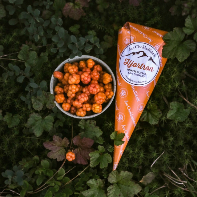 Åre Schokolade – Moltebeeren-Ganache