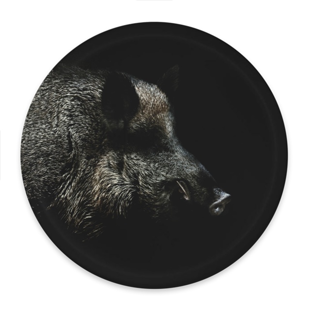 Wildschwein in der Nacht - Runde Unterlegscheibe Ø38cm