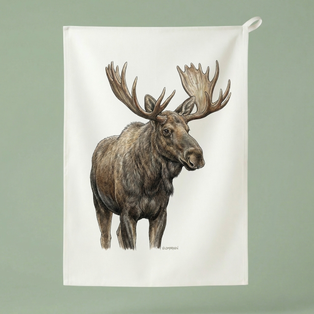 Stier Elch - Küchenhandtuch 50x70 cm