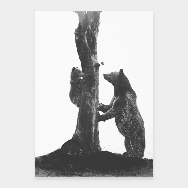 Mama Bär