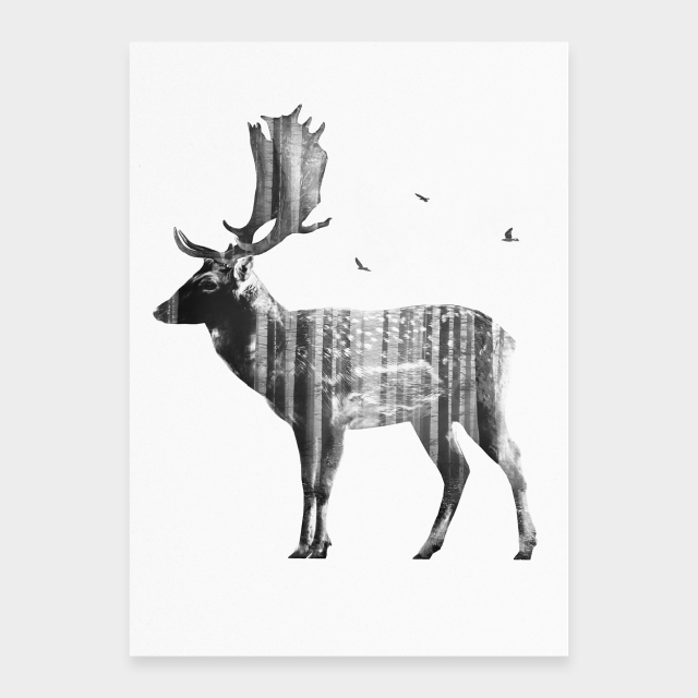 Damhirsch