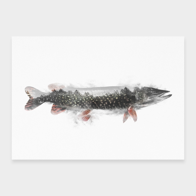 Pike