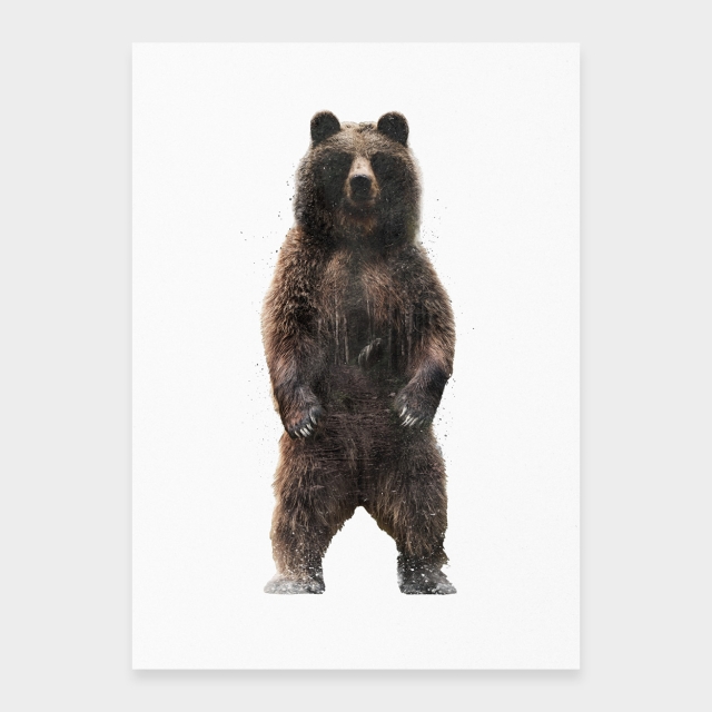 Neugieriger Braunbär