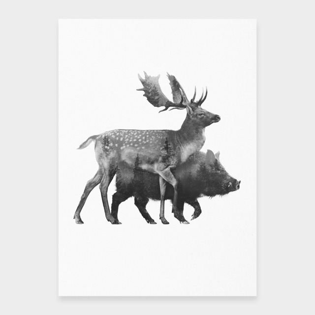 Damhirsch und Wildschwein