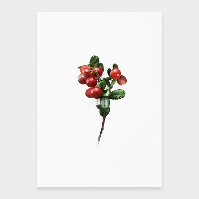 Preiselbeeren