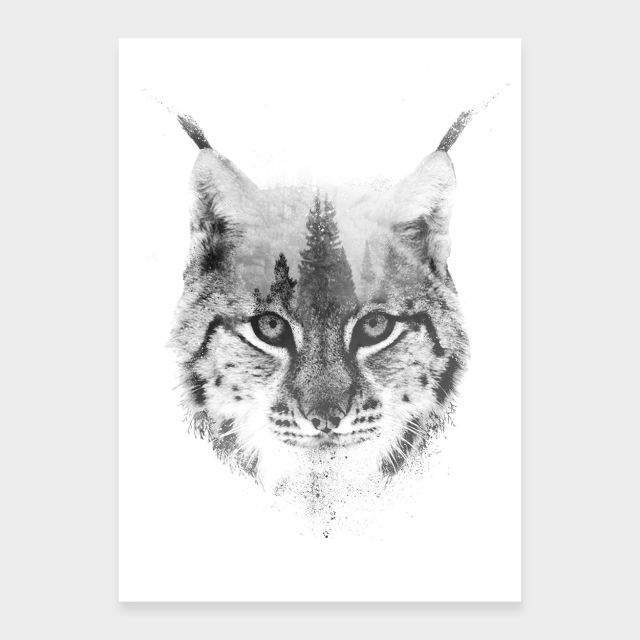 Luchs-Porträts