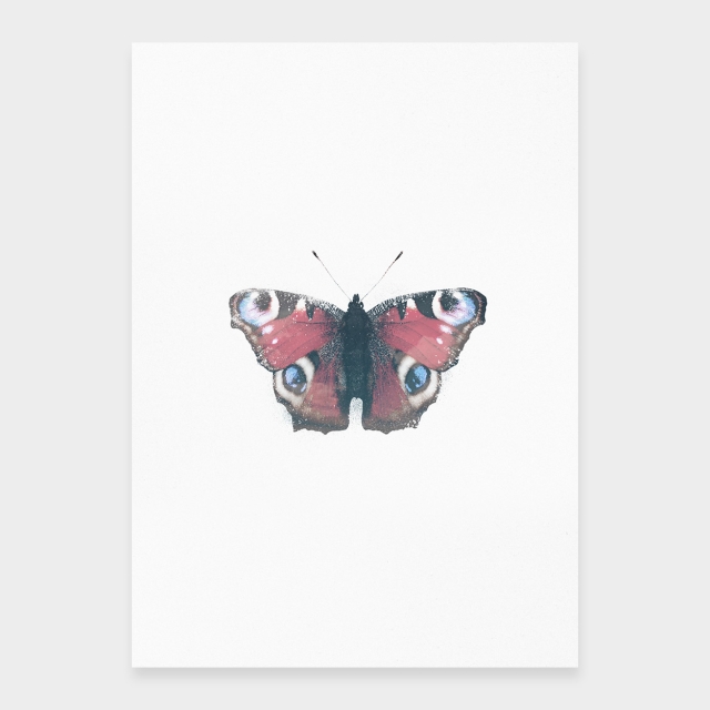 Pfauenaugen-Schmetterling