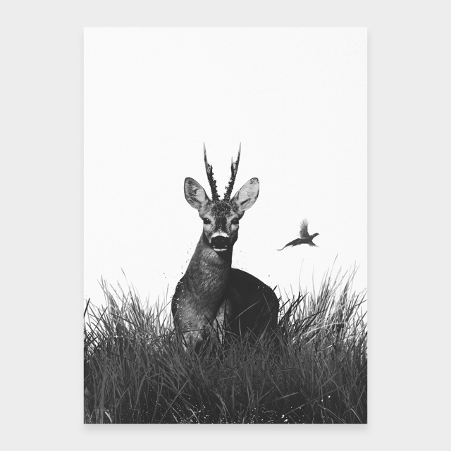 Sommerhirsch