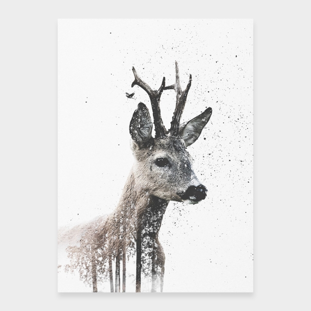 Birkenwaldbock