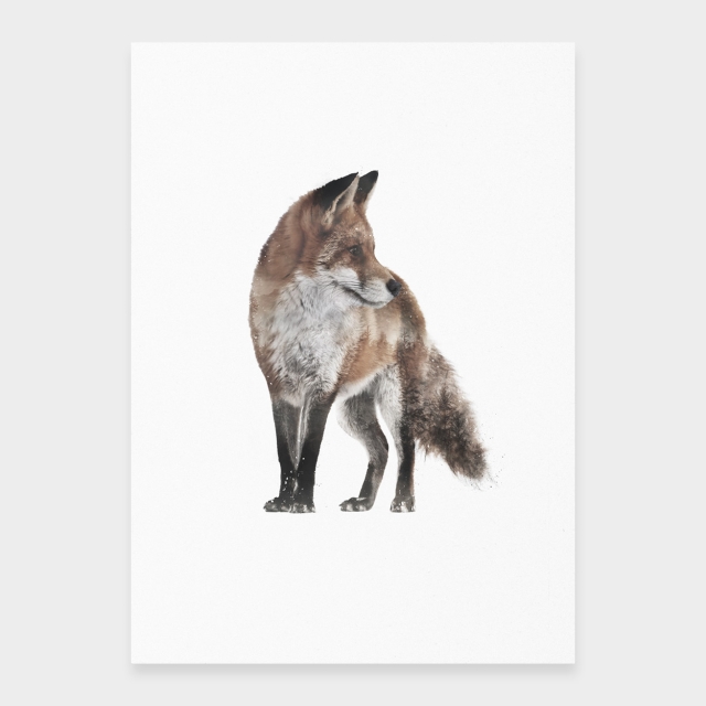 Rotfuchs