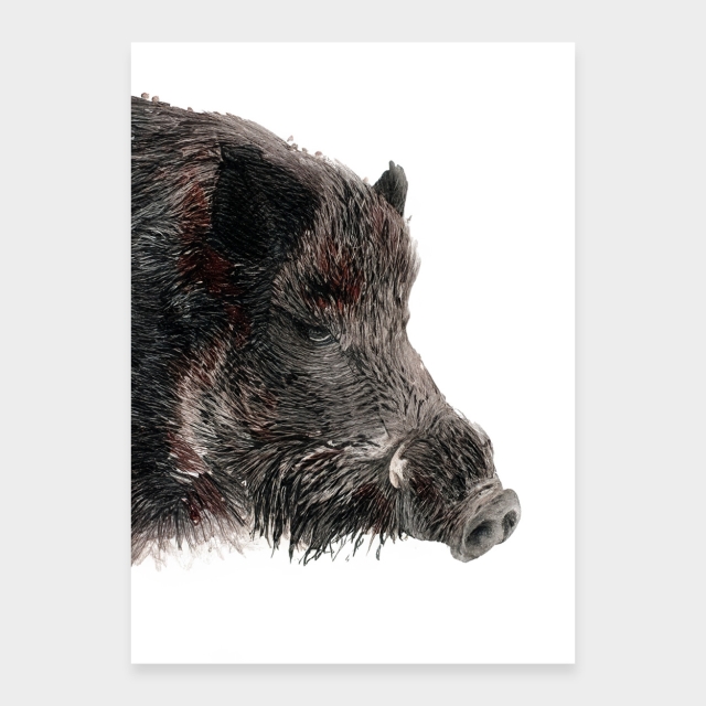 Wildschweinporträt