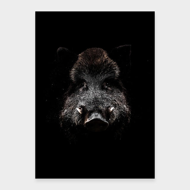 Wildschwein in der Nacht
