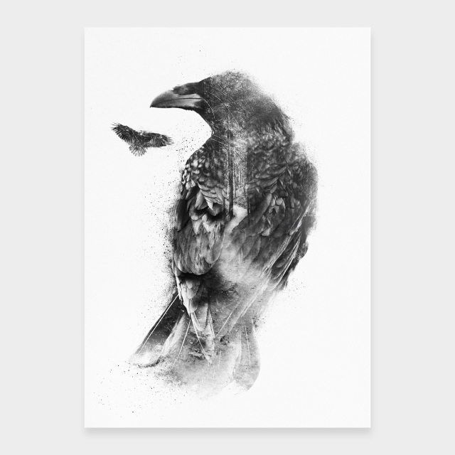 Raven
