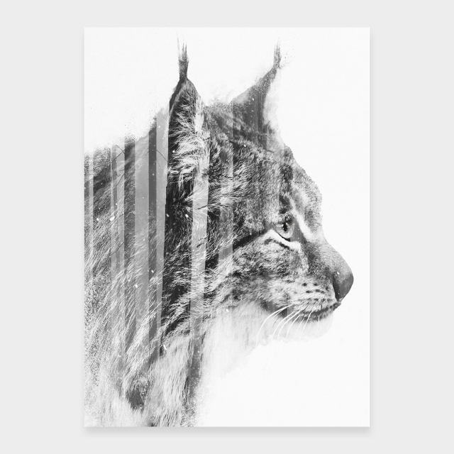 Luchs