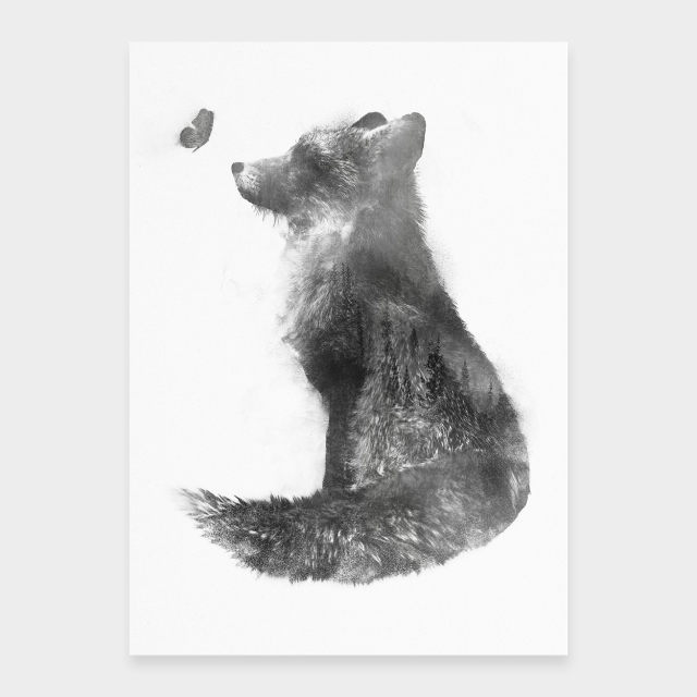 Rotfuchs und Schmetterling
