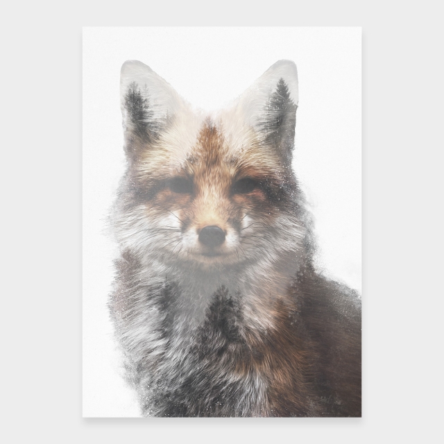 Roter Fuchs in der Farbe