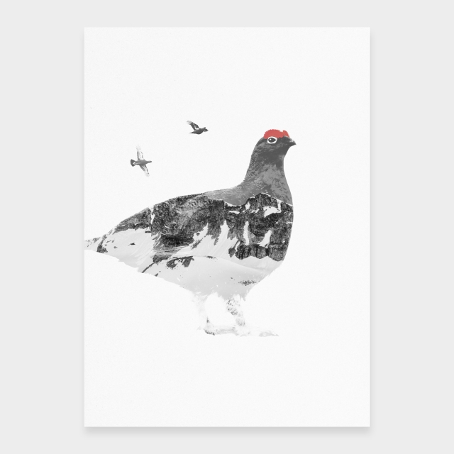 Schneehuhn