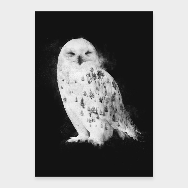 Schneeeule