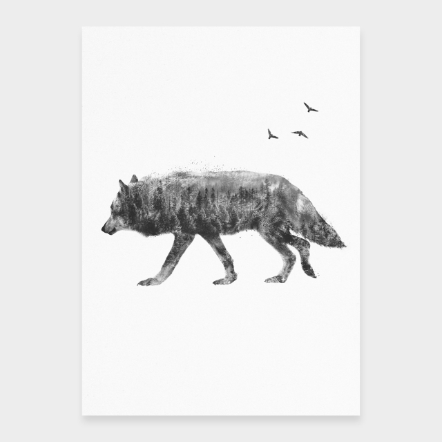 Wandernder Wolf