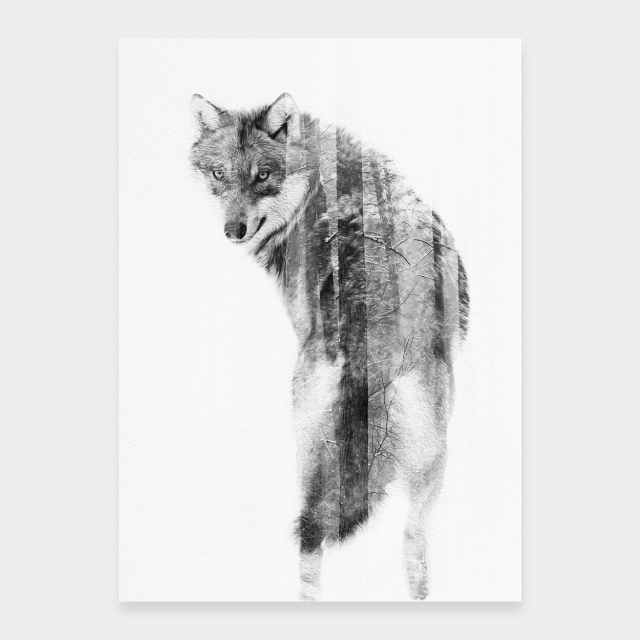 Begegnung mit dem Wolf
